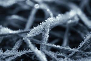 Eiskristalle in Schwarz und Weiß, auf einem Grashalm im Winter. Nahansicht foto