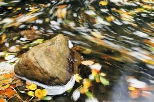 Stein im Wasser foto