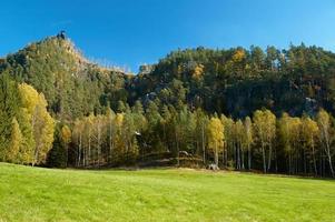 Sandsteinfelsen und Wald foto