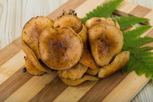 Armillaria auf Holzbrett und Holzhintergrund foto