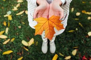 Herbstlaub in Mädchenhänden foto