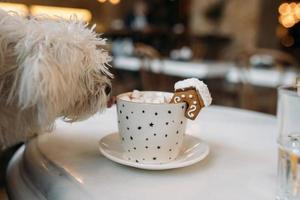 die tasse mit weihnachtsschmuck und keks am rand foto