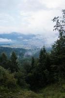 Blick vom Hügel mit Waldwiese auf die Stadt und Nebel im Tal foto