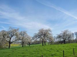 frühlingszeit in den deutschen baumbergen foto