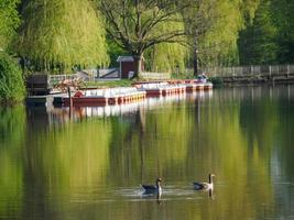 an einem see bei borken in westfalen foto