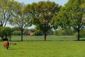 das dorf weseke foto