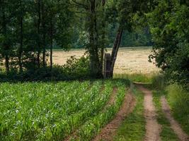 wandern bei reken im deutschen münsterland foto