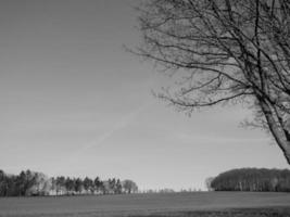 westfälische landschaft bei billerbeck foto