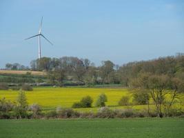 frühlingszeit in den deutschen baumbergen foto