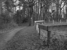 im deutschen Münsterland foto