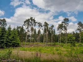 wandern bei reken im deutschen münsterland foto