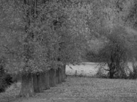 Herbstzeit in Westfalen foto