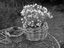 Sommerzeit in Westfalen foto