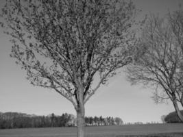 westfälische landschaft bei billerbeck foto