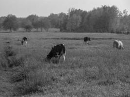 Sommerzeit in Westfalen foto