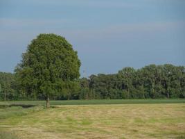 Sommerzeit in Westfalen foto