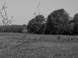 im deutschen Münsterland foto