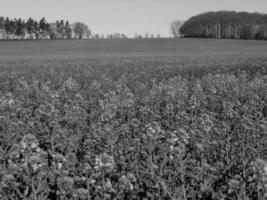 westfälische landschaft bei billerbeck foto