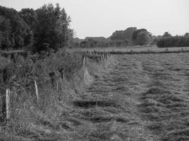 sommer in westfalen foto