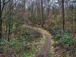 wandern bei reken im deutschen münsterland foto