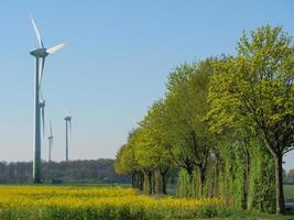 frühlingszeit in der nähe von stadtlohn in deutschland foto