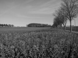 westfälische landschaft bei billerbeck foto