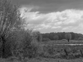 sommer in westfalen foto