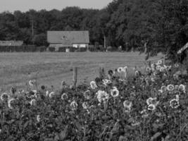 Sommerzeit in Westfalen foto