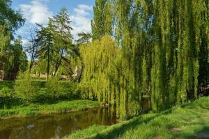 die westfälische stadt vreden foto