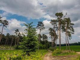 Reken in Westfalen foto