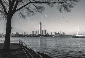 Skyline von Rotterdam am 11. Januar 2022. foto