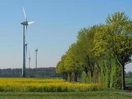 frühlingszeit in der nähe von stadtlohn in deutschland foto