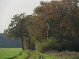 Wandern bei Burlo in Westfalen foto