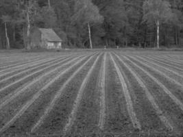 im deutschen Münsterland foto