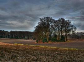 wandern bei reken im deutschen münsterland foto