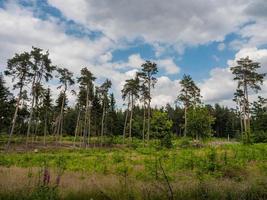 Reken in Westfalen foto