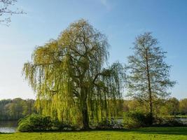 Wandern an einem See in Westfalen foto