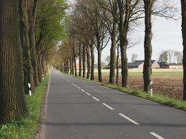 Frühlingszeit in Weseke Deutschland foto