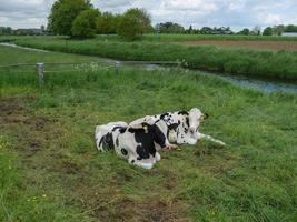 das kleine dorf loikum foto