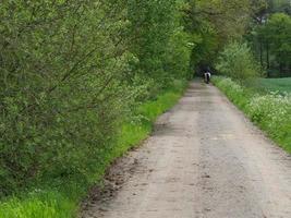 wandern in einem wald bei ahaus deutschland foto