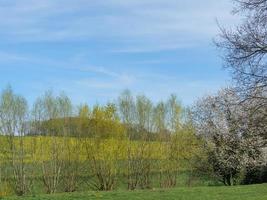 frühlingszeit in den deutschen baumbergen foto