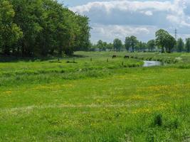 das kleine dorf loikum foto