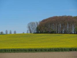 Frühlingszeit in Westfalen foto