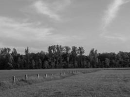 Die Natur in Westfalen foto