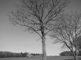 westfälische landschaft bei billerbeck foto