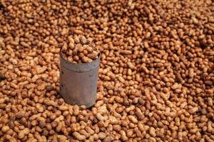 Gebratene Erdnüsse in der indischen Straße verkauft foto