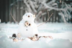 Grußkarte der frohen Weihnachten und des guten Rutsch ins Neue Jahr mit Kopienraum. Viele Schneemänner, die in der Winterweihnachtslandschaft stehen. Winterhintergrund. Schneemann mit trockener Blume und Kiefer. Frohe Feiertage und Feiern. foto