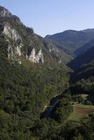 ein grünes tal, das durch die wunderschöne landschaft montenegros führt foto