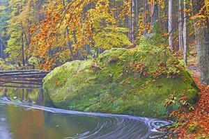 Herbstbach und Fluss foto
