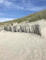 Holzpfosten mit Seil am Strand an einem sonnigen Tag foto